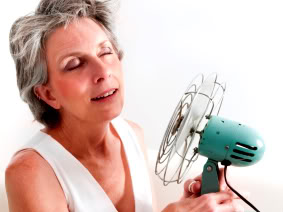 Hot Flashes:  What To Eat, And How To Supplement